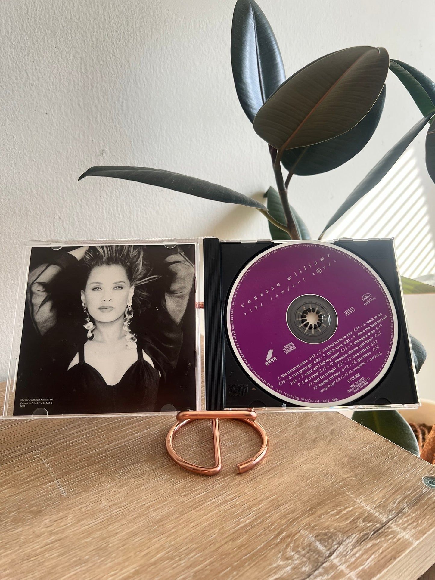 Vanessa Williams – The Comfort Zone