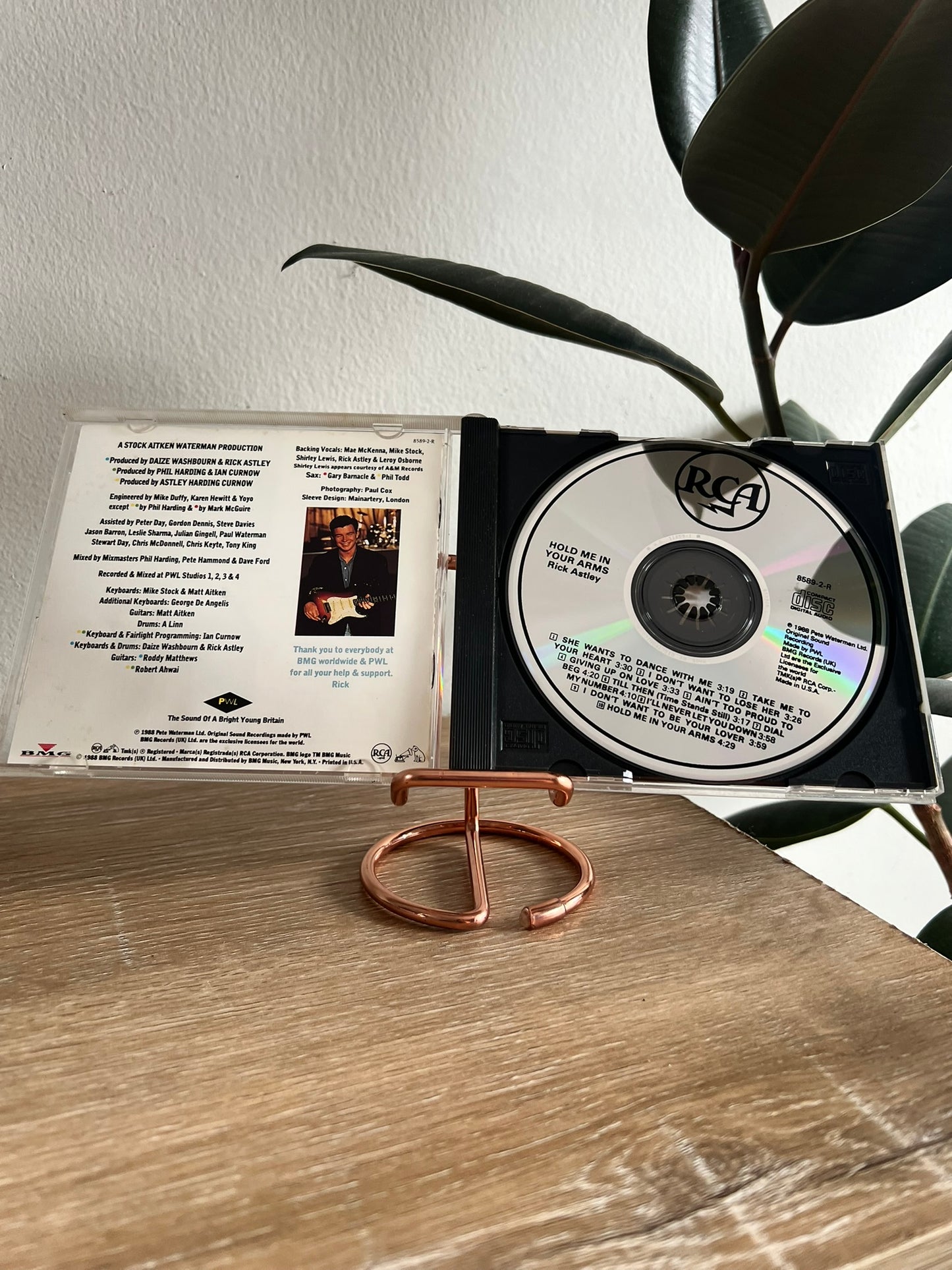 Rick Astley – Hold Me In Your Arms