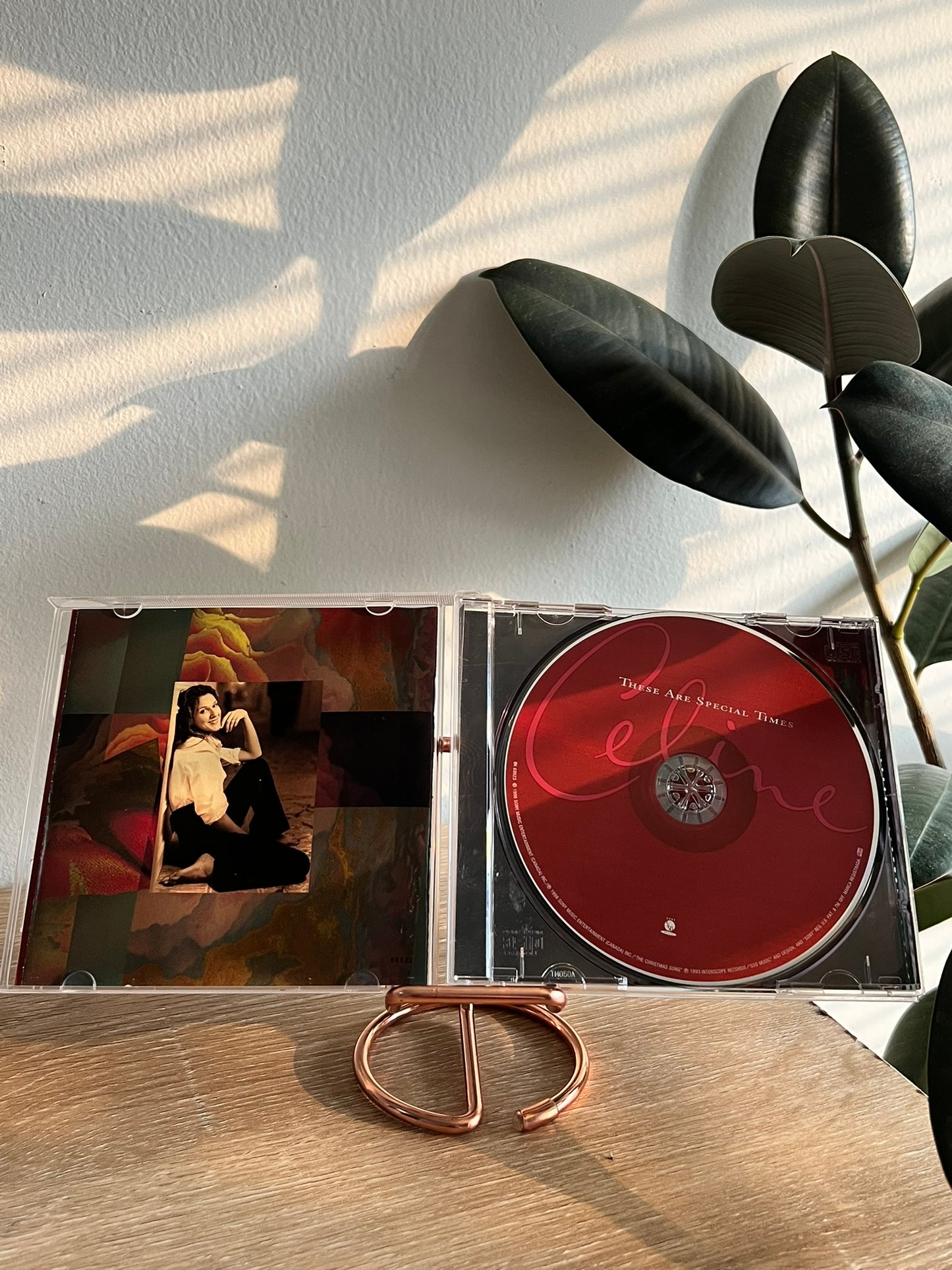 Celine – These Are Special Times