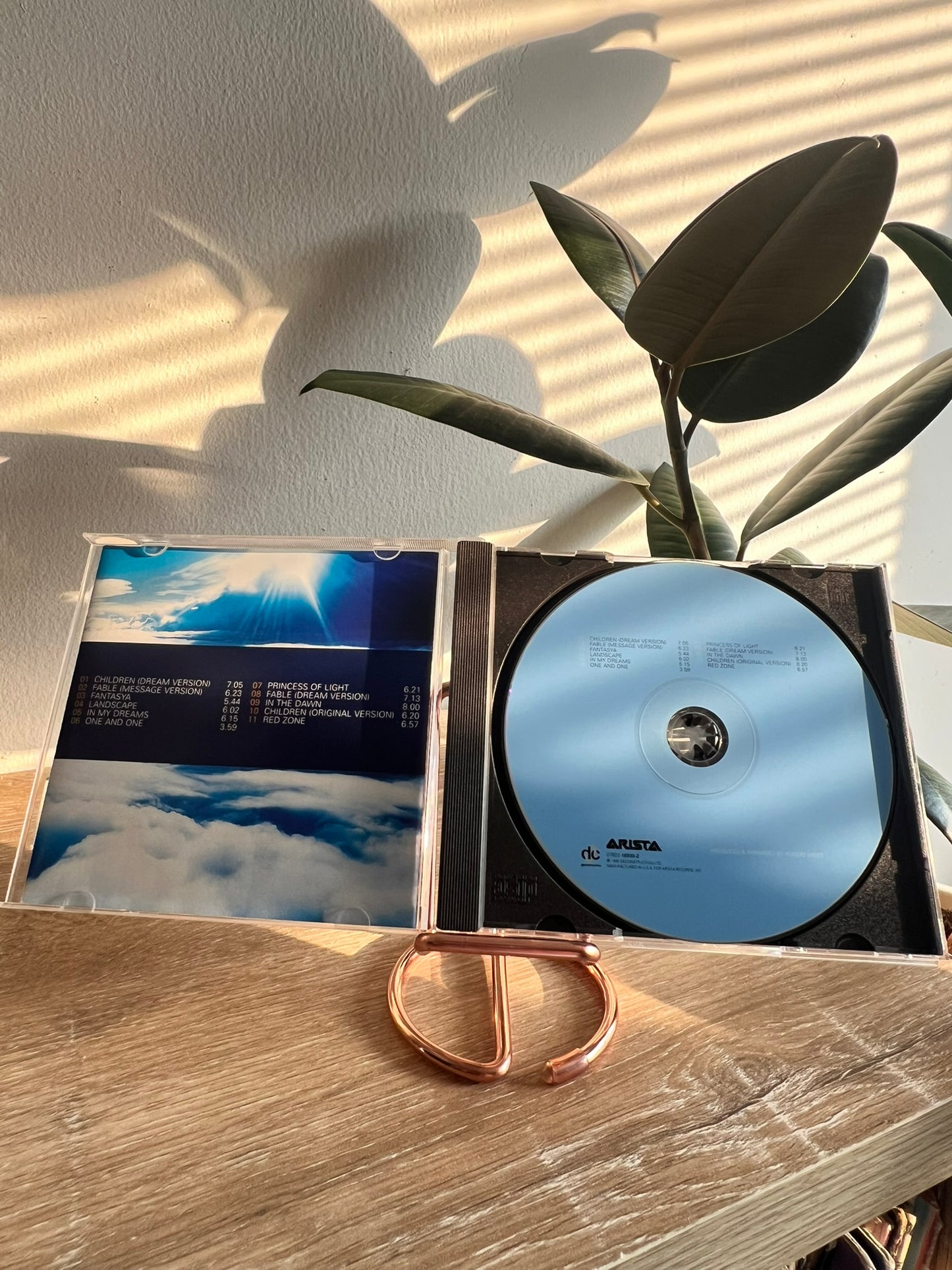 Robert Miles – Dreamland