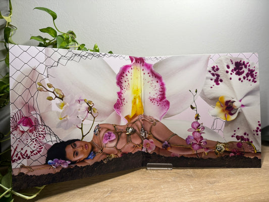 Kali Uchis – Orquídeas