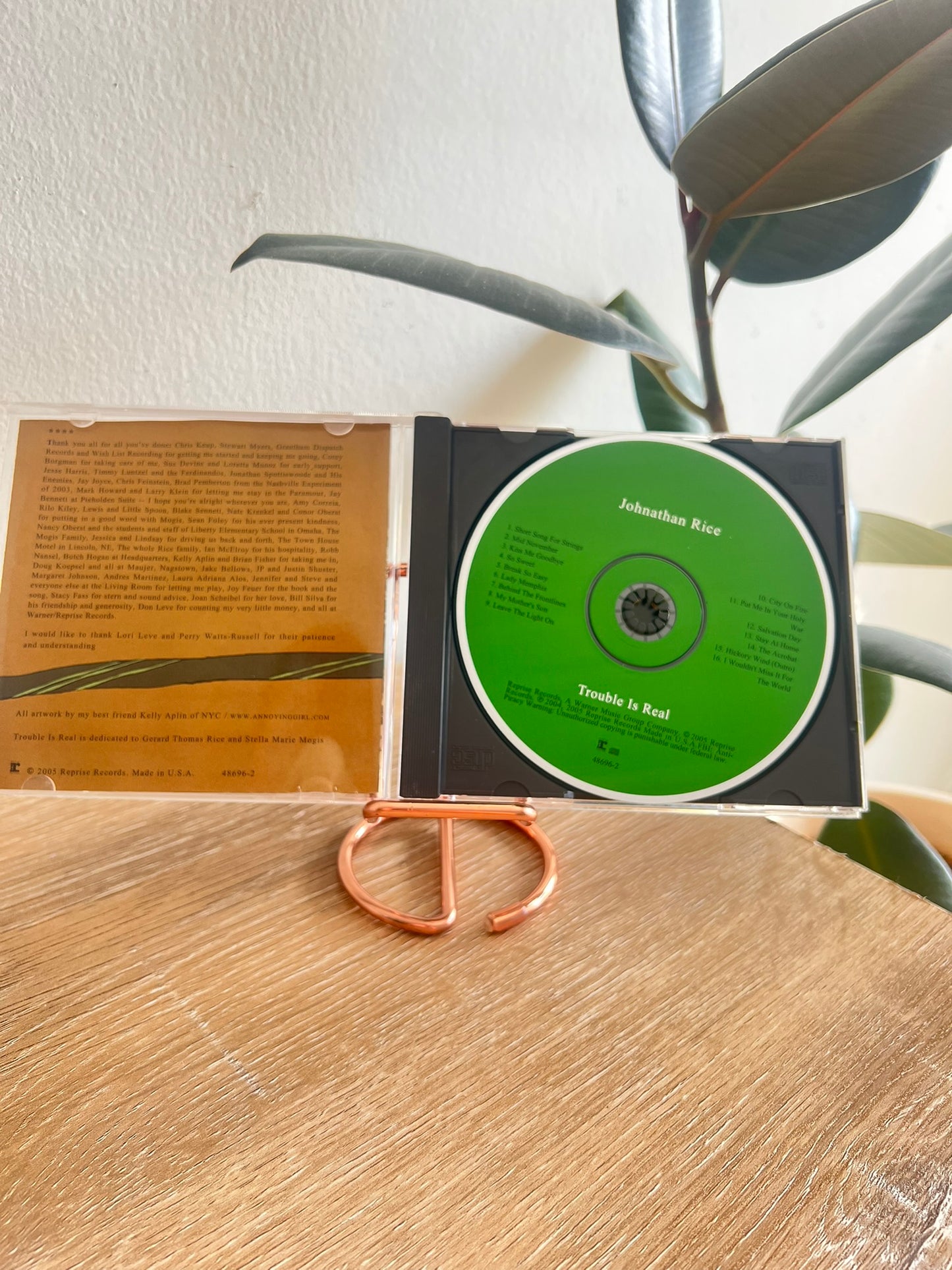 Johnathan Rice - Trouble is Real