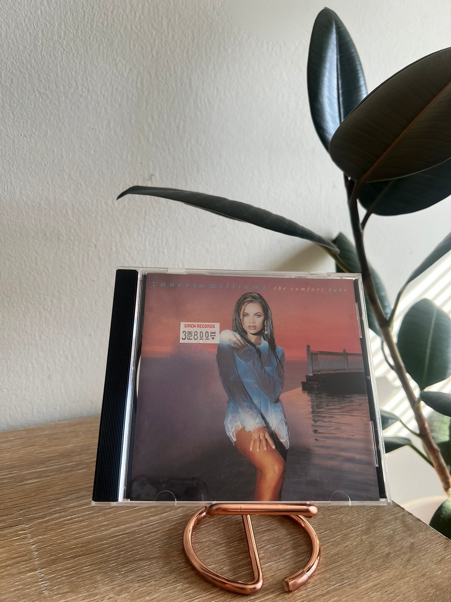 Vanessa Williams – The Comfort Zone