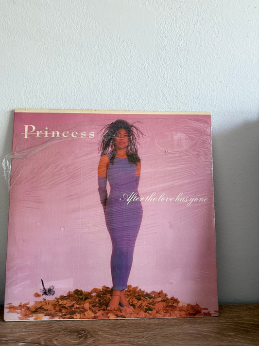 Princess – After The Love Has Gone