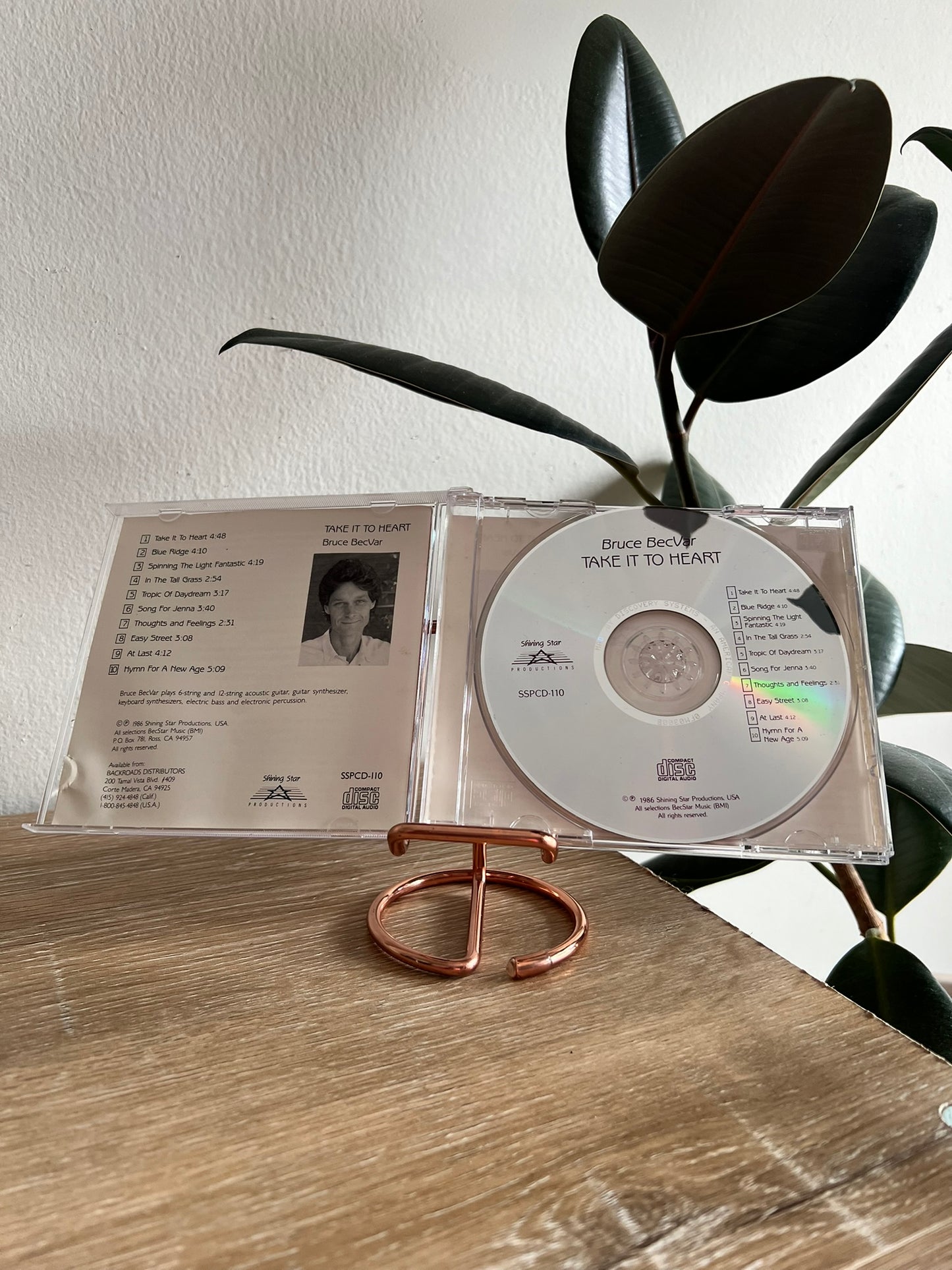 Bruce BecVar – Take It To Heart