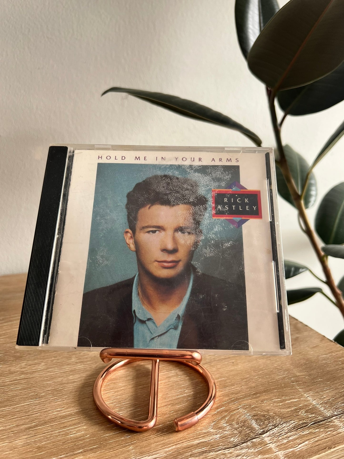 Rick Astley – Hold Me In Your Arms