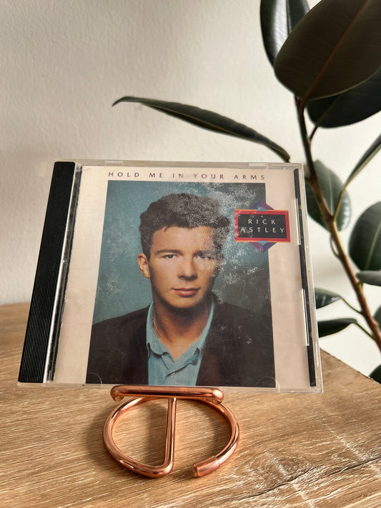 Rick Astley – Hold Me In Your Arms