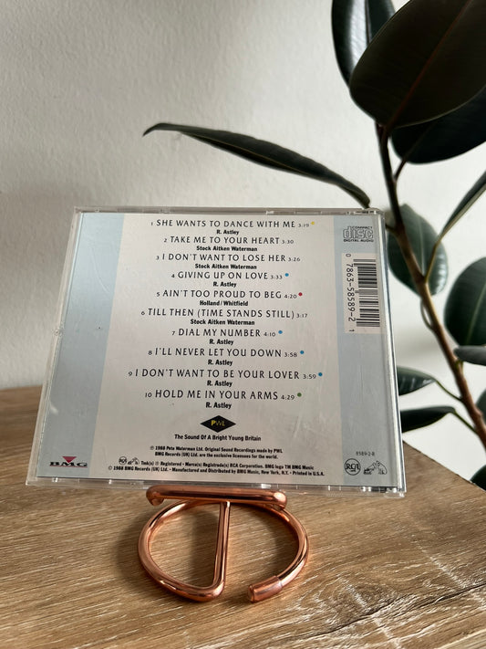 Rick Astley – Hold Me In Your Arms