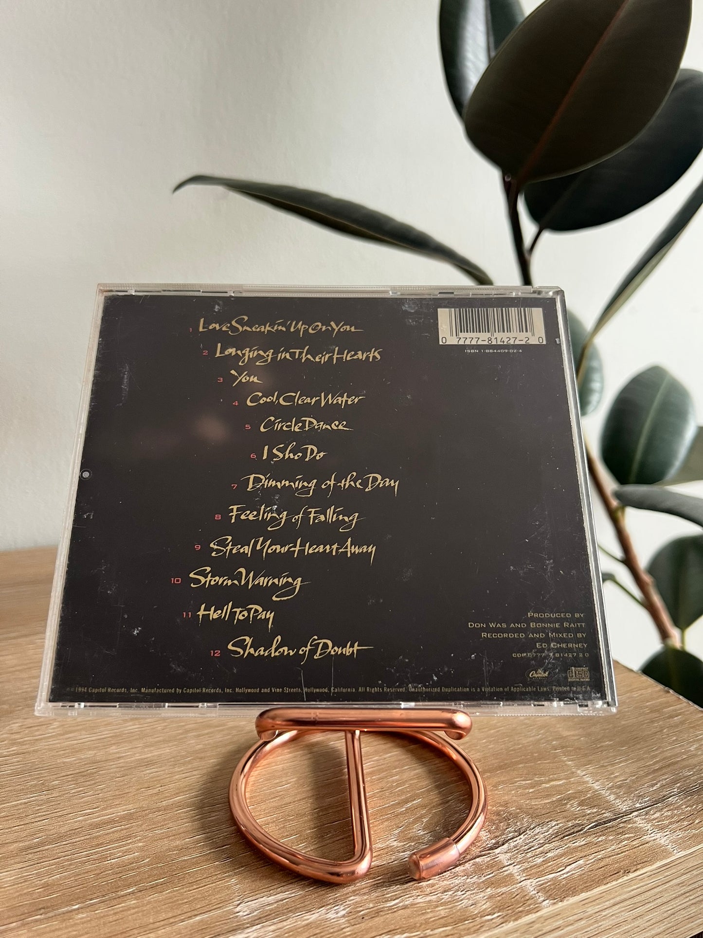 Bonnie Raitt – Longing In Their Hearts