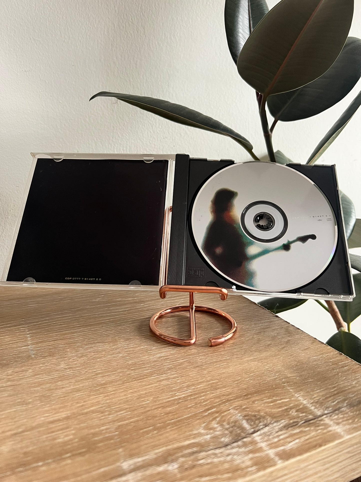 Bonnie Raitt – Longing In Their Hearts