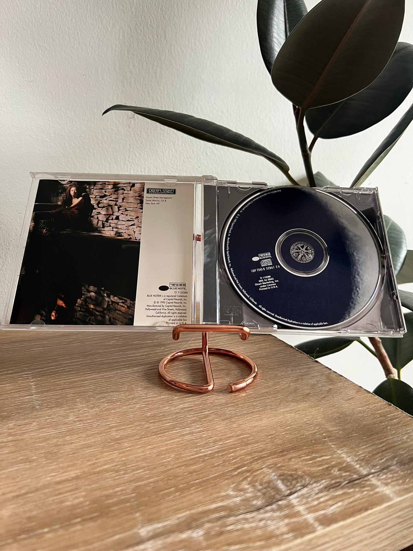 Cassandra Wilson – New Moon Daughter