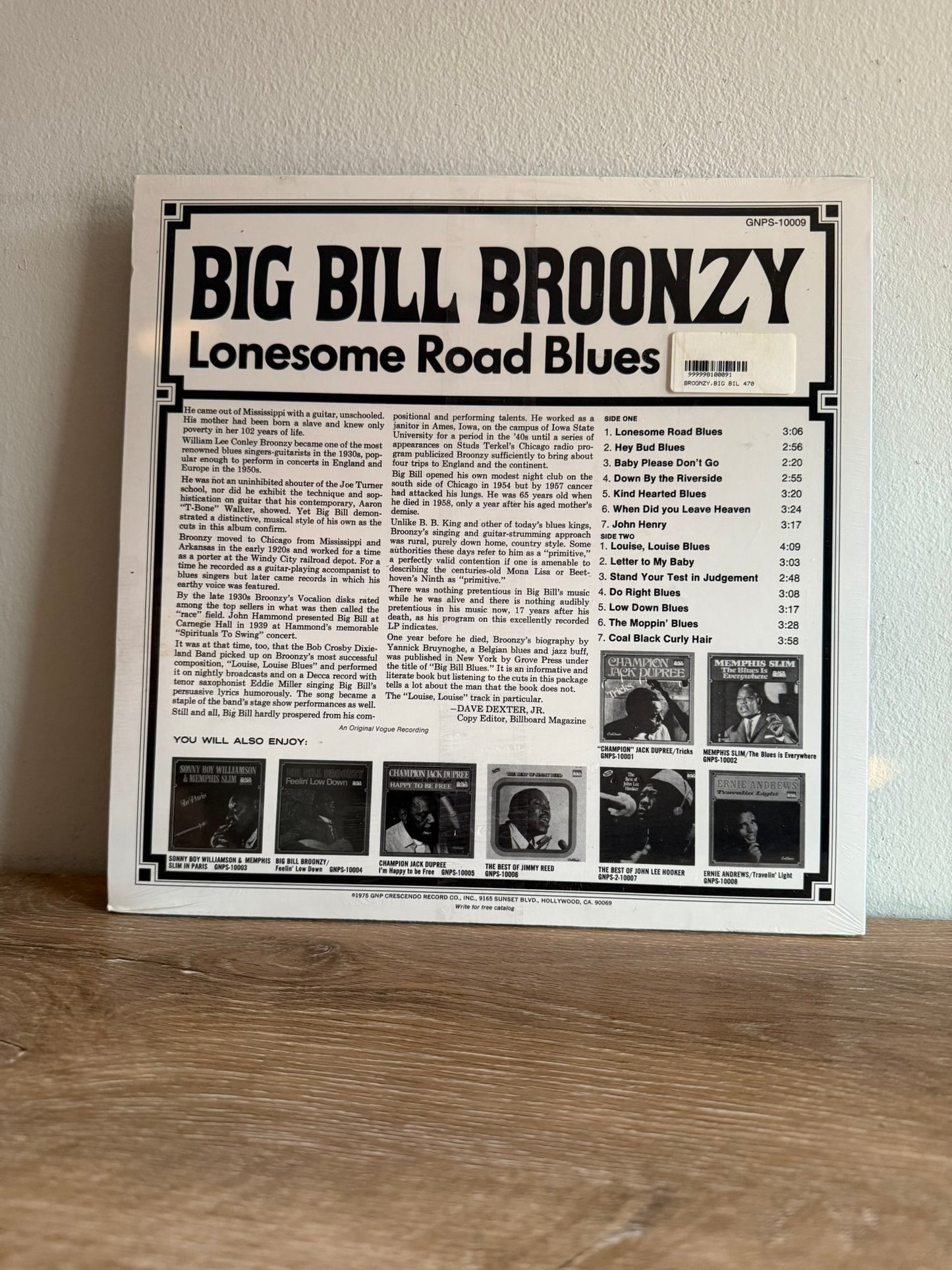 Big Bill Broonzy – Lonesome Road Blues