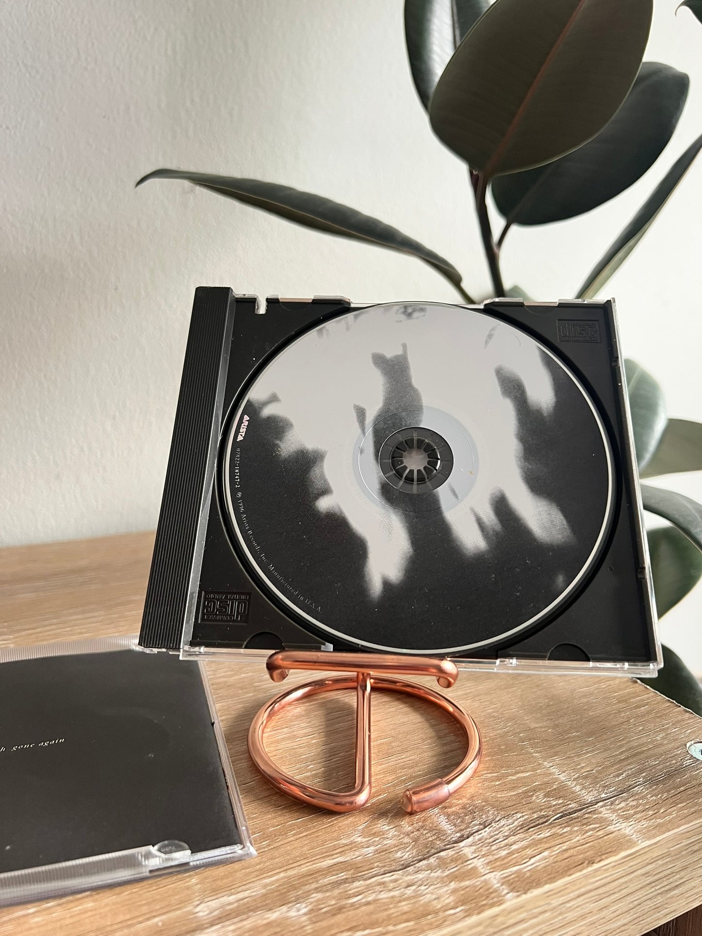 Patti Smith – Gone Again