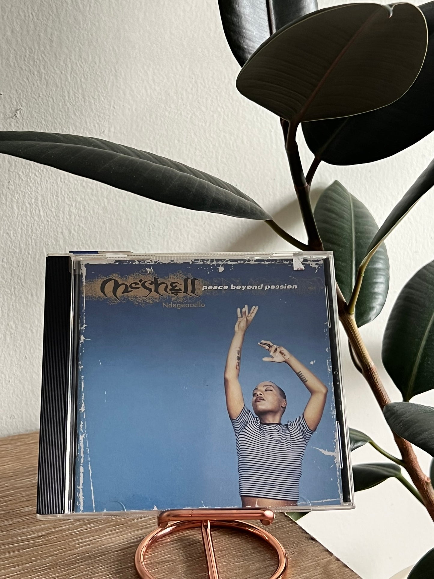 Me'Shell NdegéOcello – Peace Beyond Passion