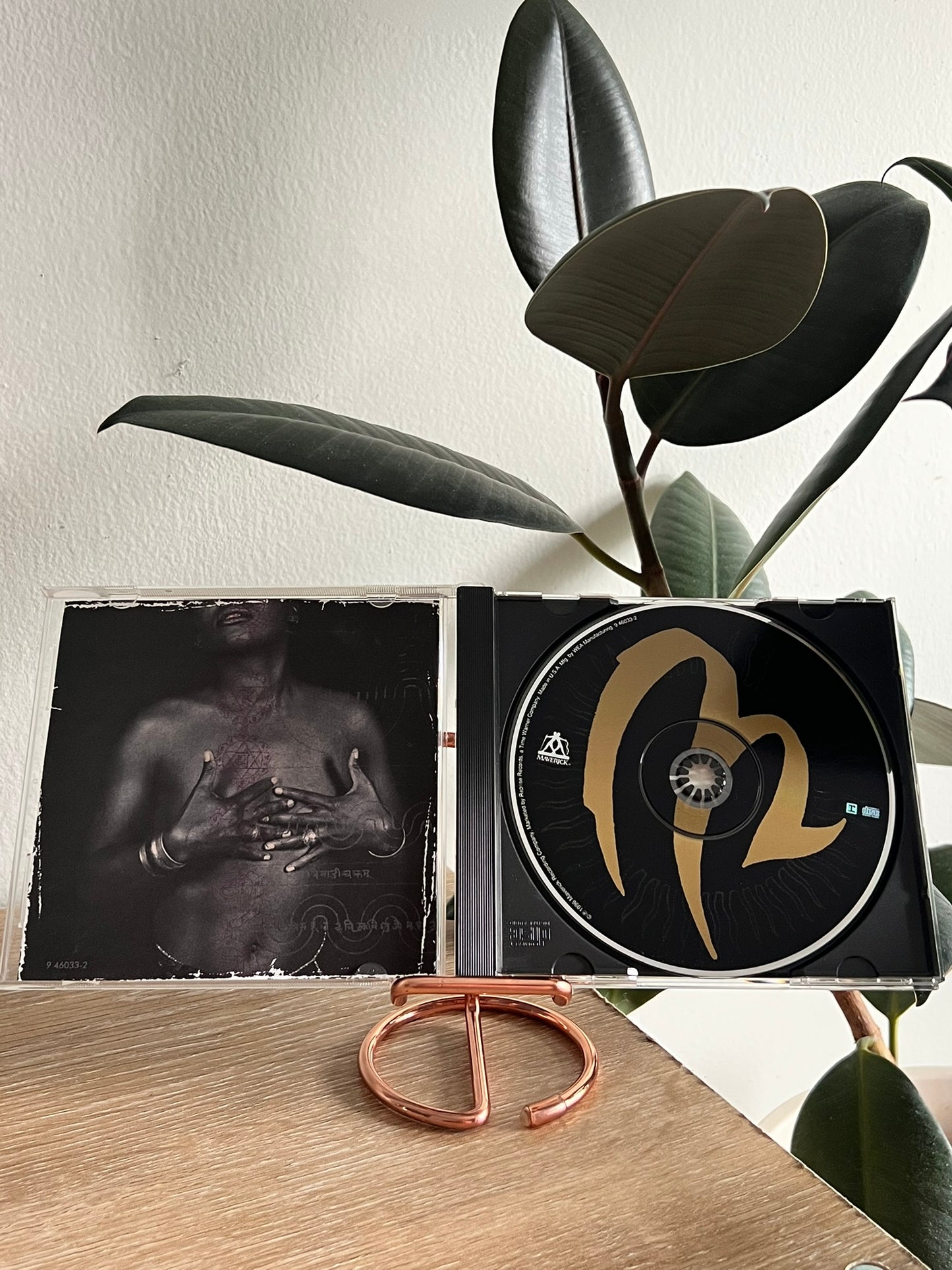 Me'Shell NdegéOcello – Peace Beyond Passion