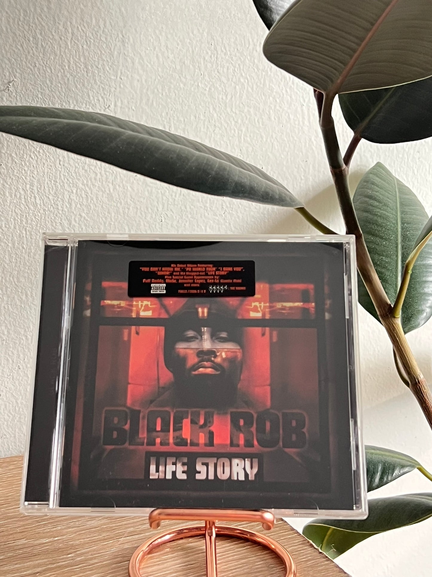 Black Rob – Life Story