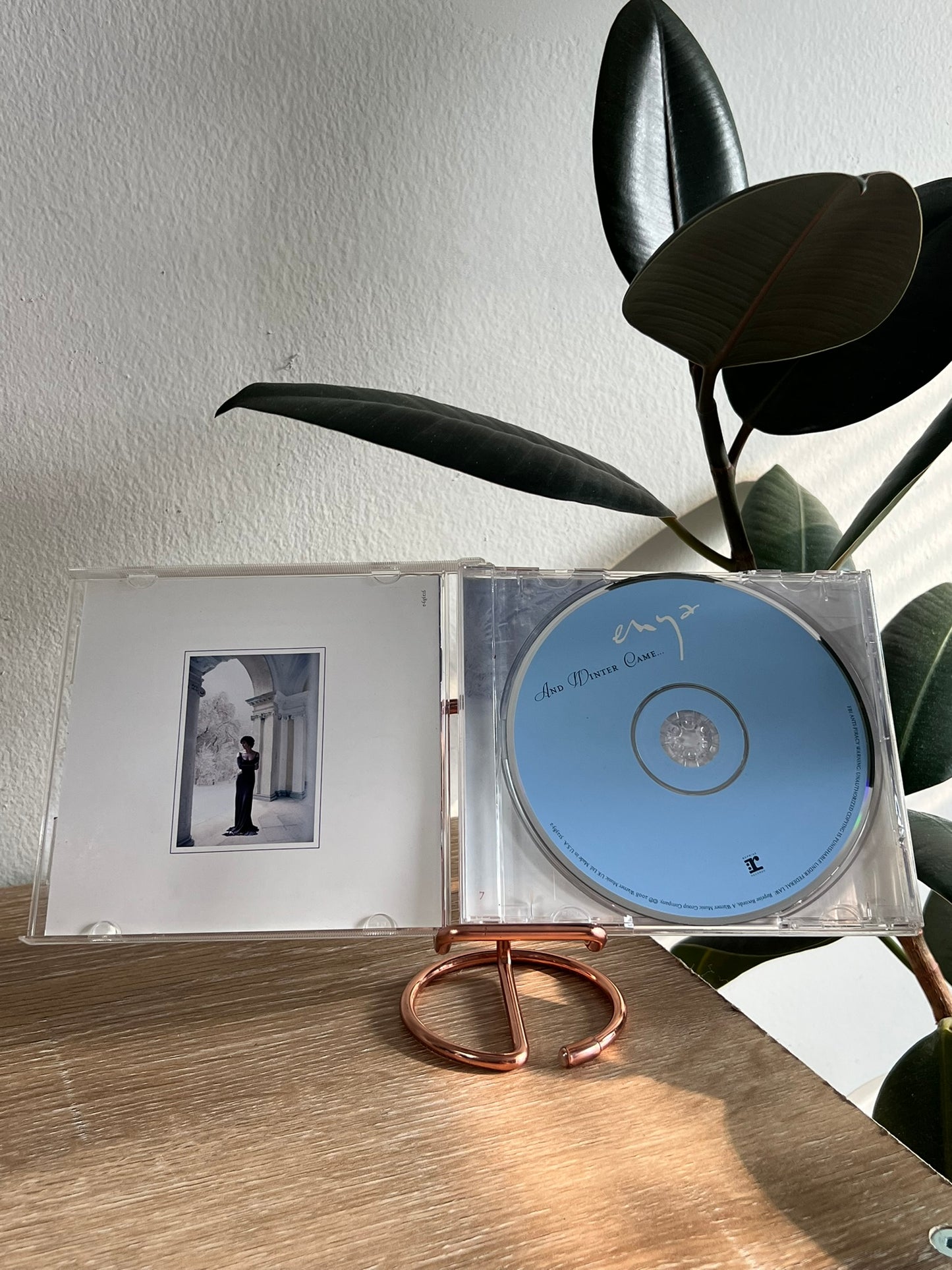 Enya – And Winter Came..