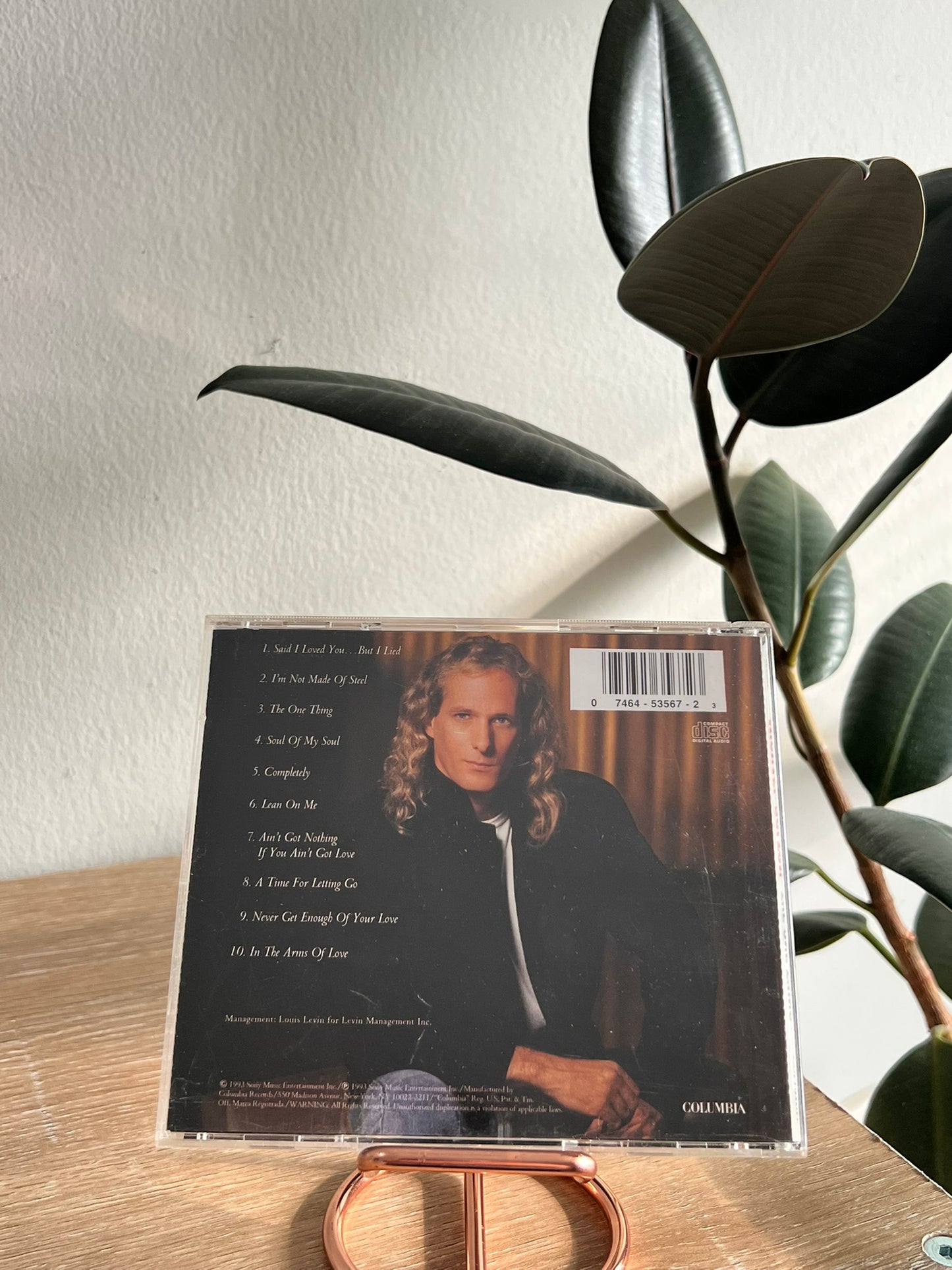 Michael Bolton – The One Thing