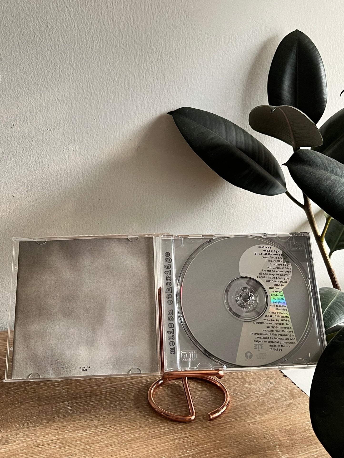 Melissa Etheridge – Your Little Secret