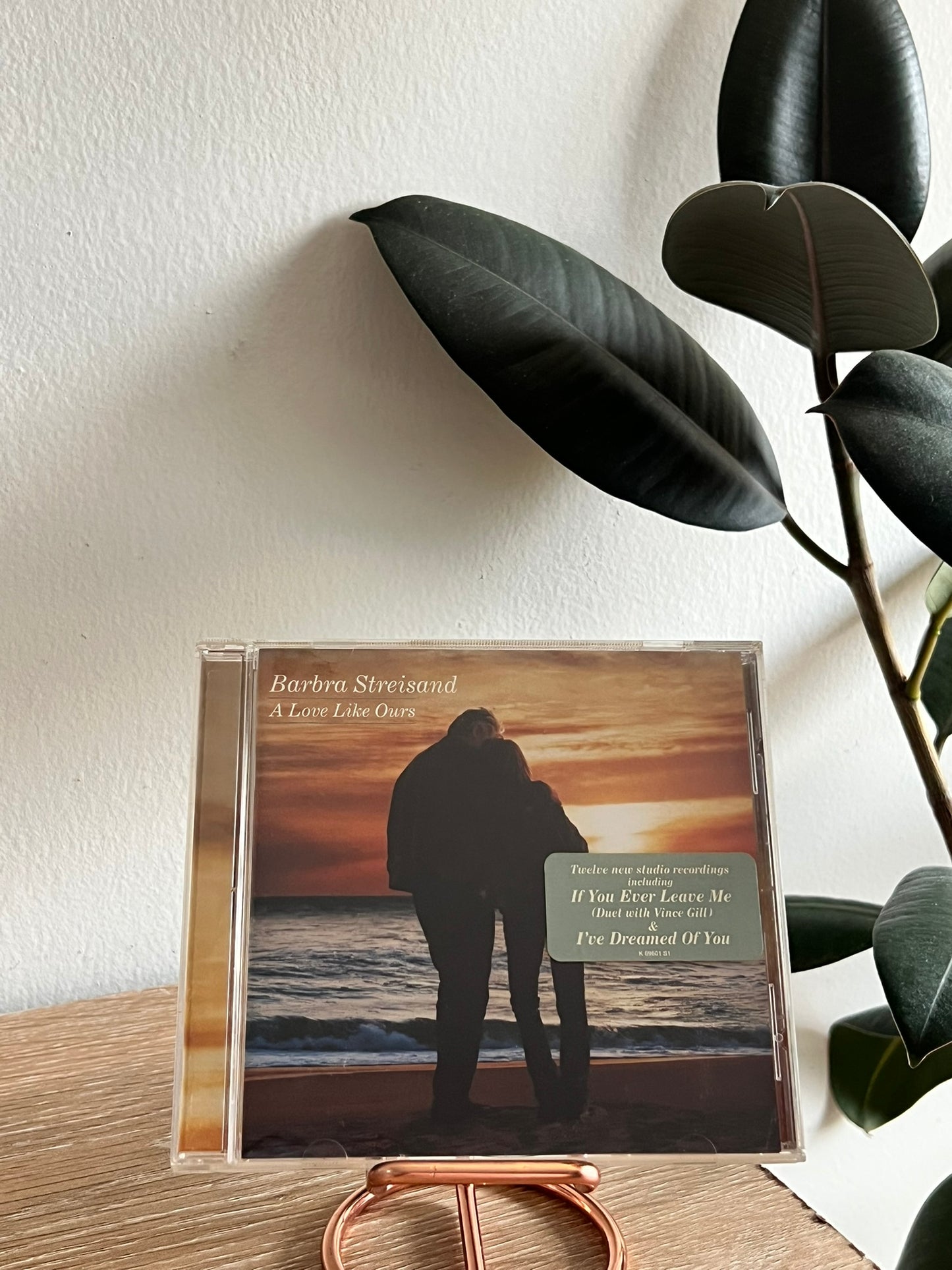 Barbra Streisand – A Love Like Ours