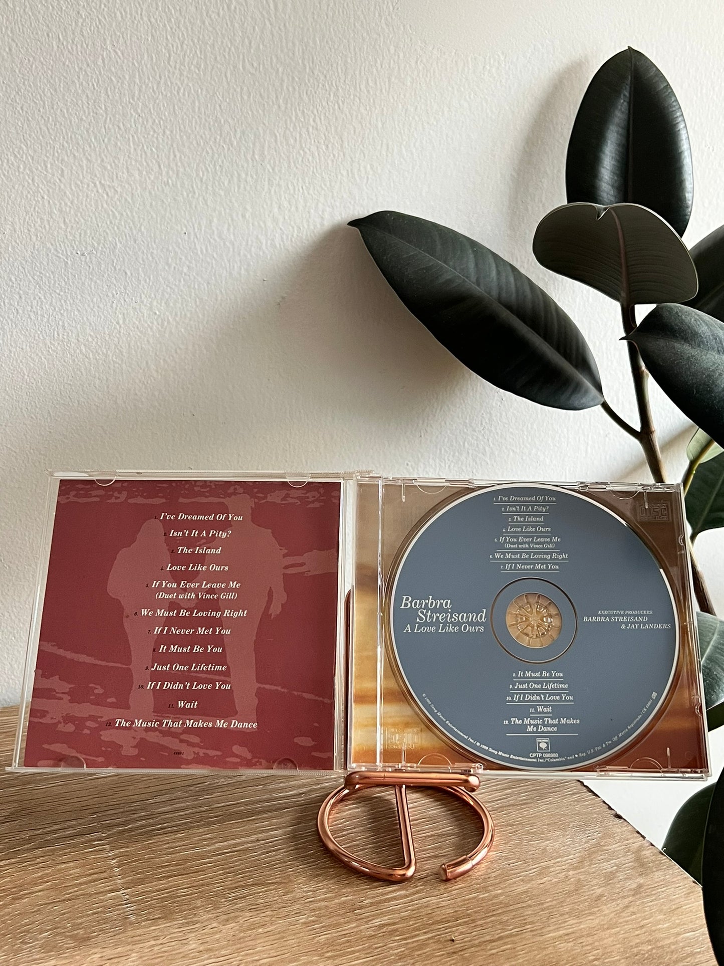 Barbra Streisand – A Love Like Ours