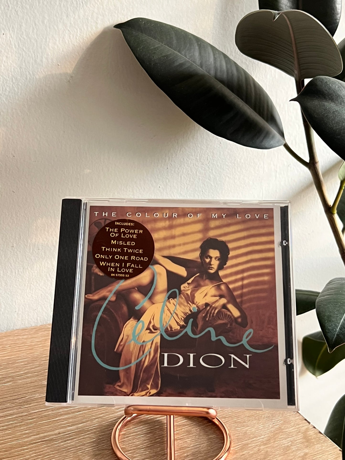 Celine Dion – The Colour Of My Love