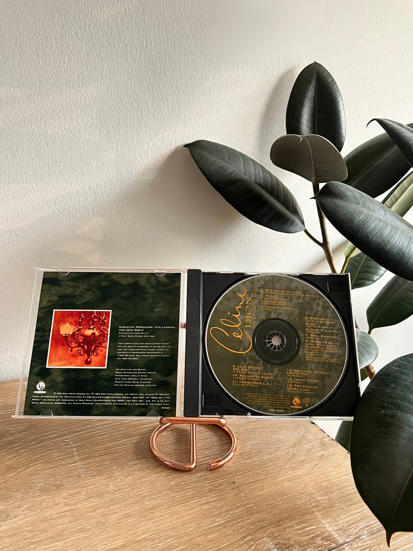 Celine Dion – The Colour Of My Love