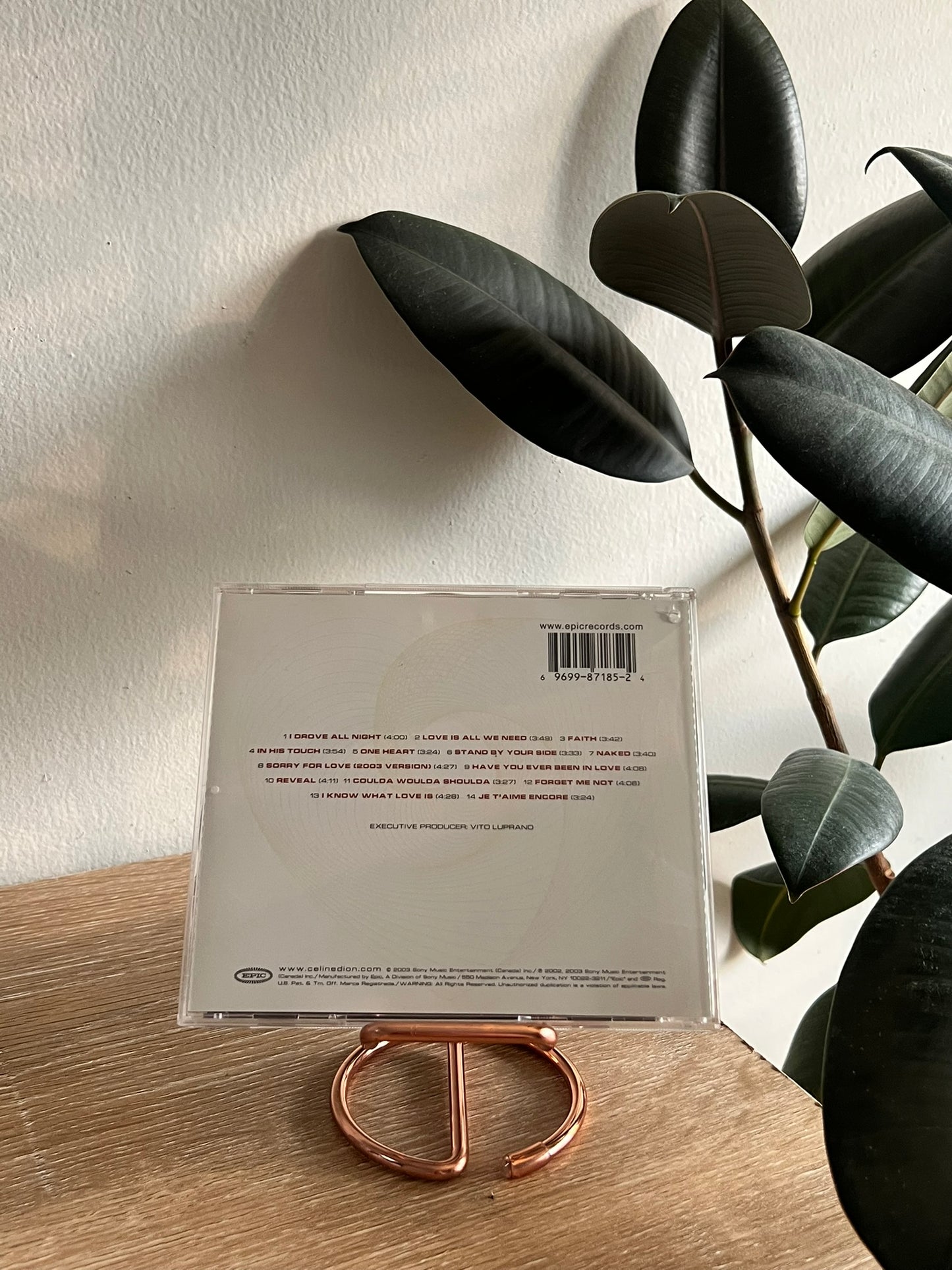 Celine Dion – One Heart