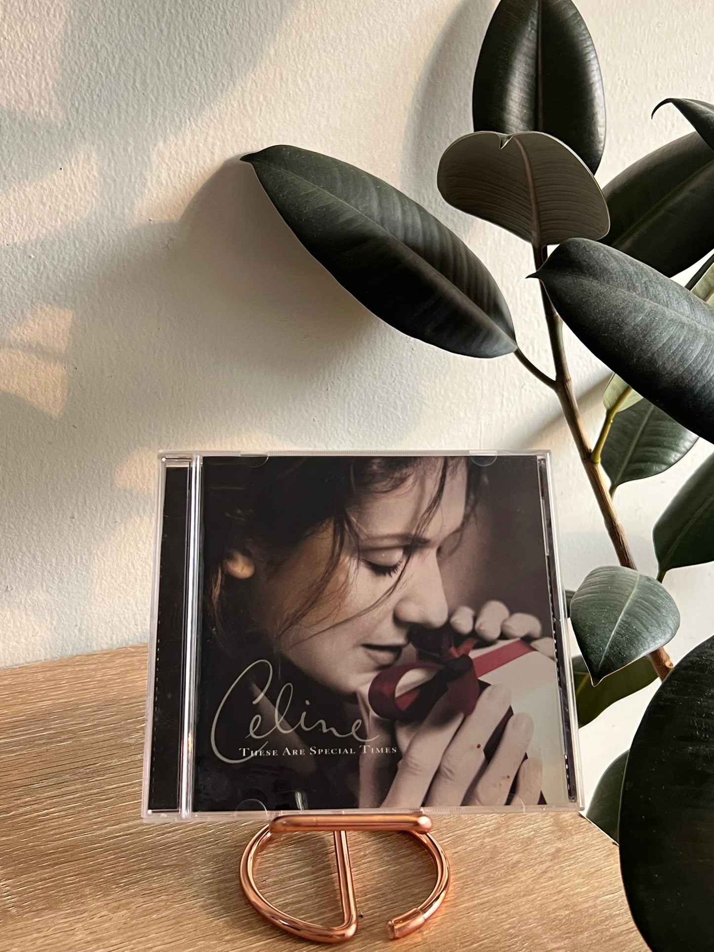 Celine – These Are Special Times