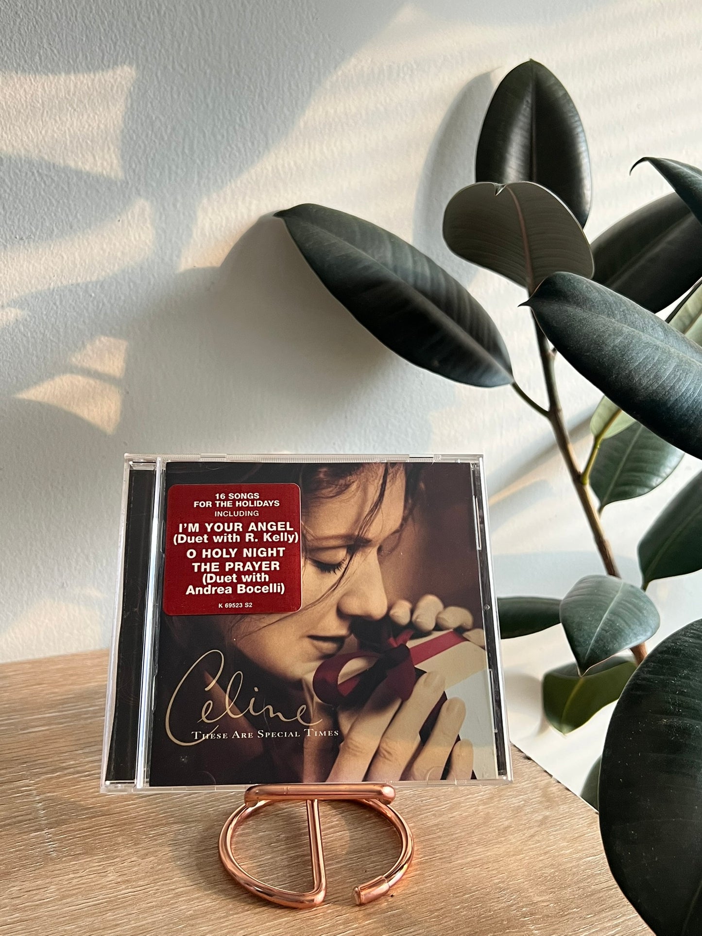 Celine – These Are Special Times