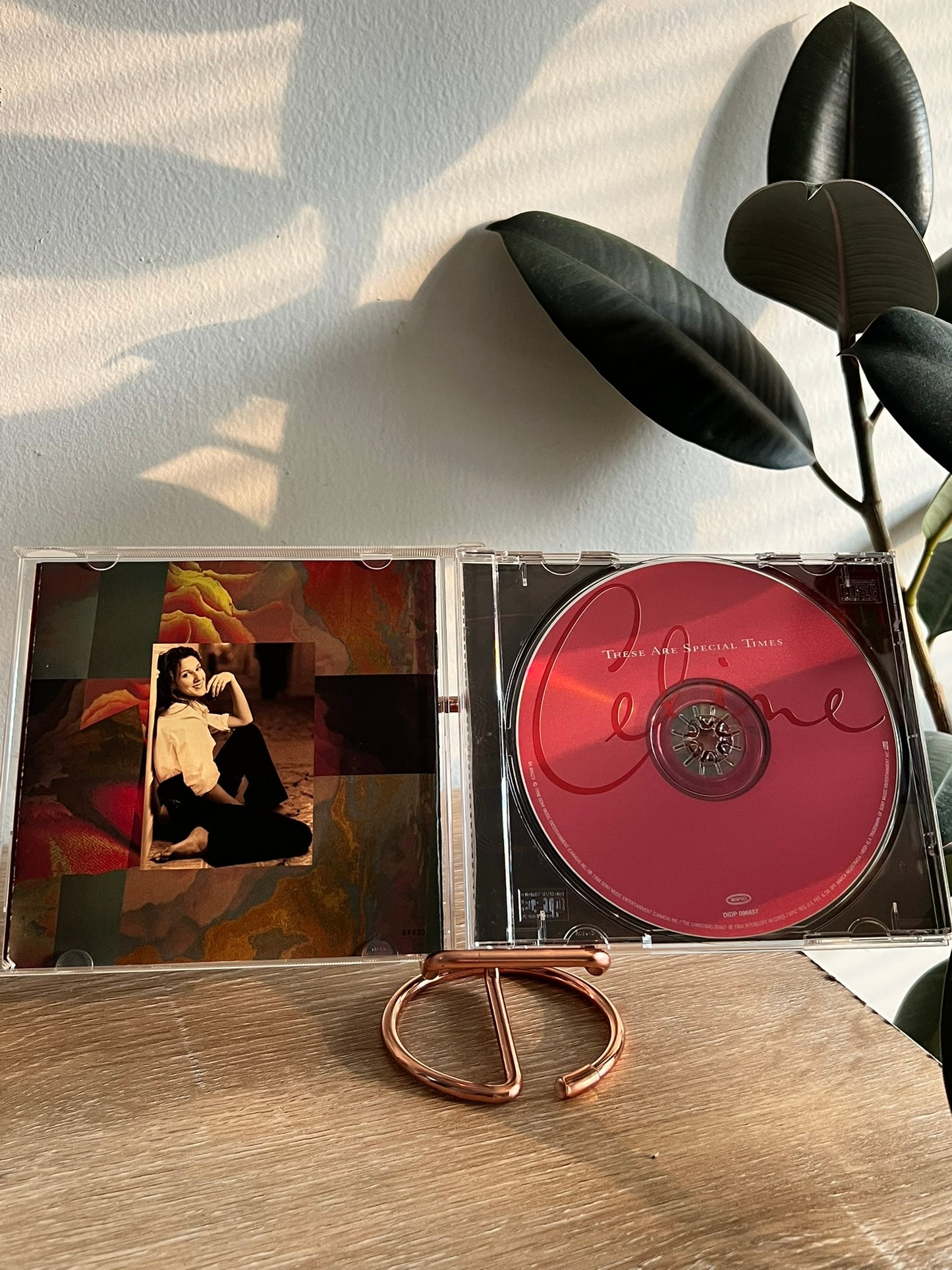 Celine – These Are Special Times