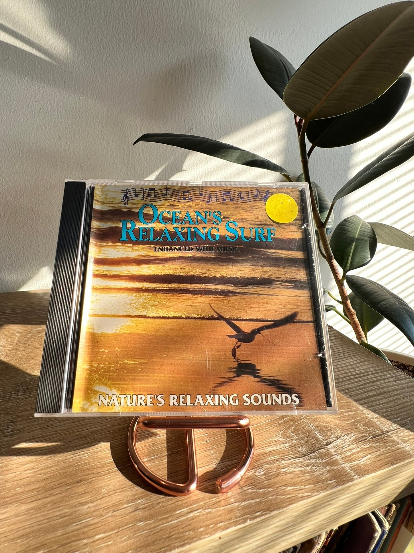 Ocean's Relaxing Surf