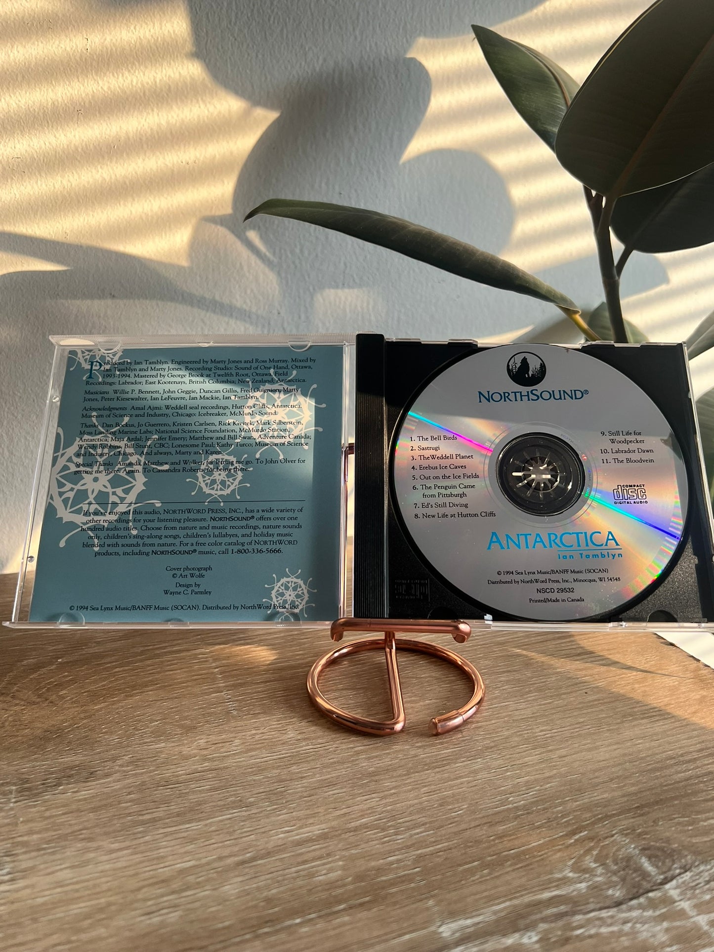 Ian Tamblyn – Antarctica