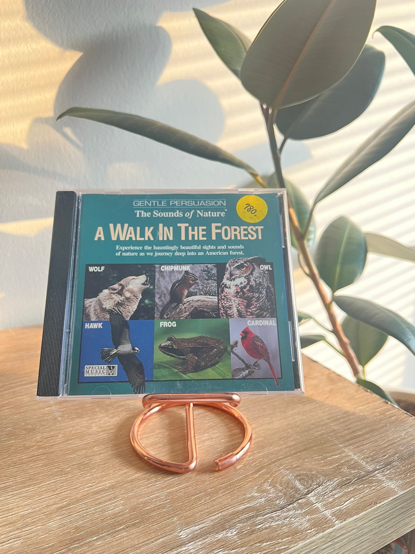 Sounds of Nature: A Walk in the Forest