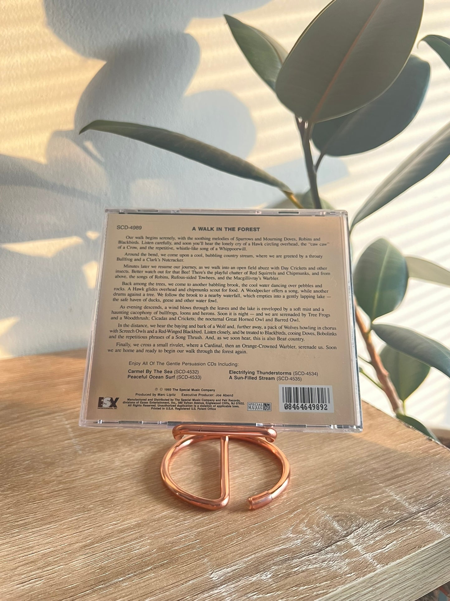 Sounds of Nature: A Walk in the Forest