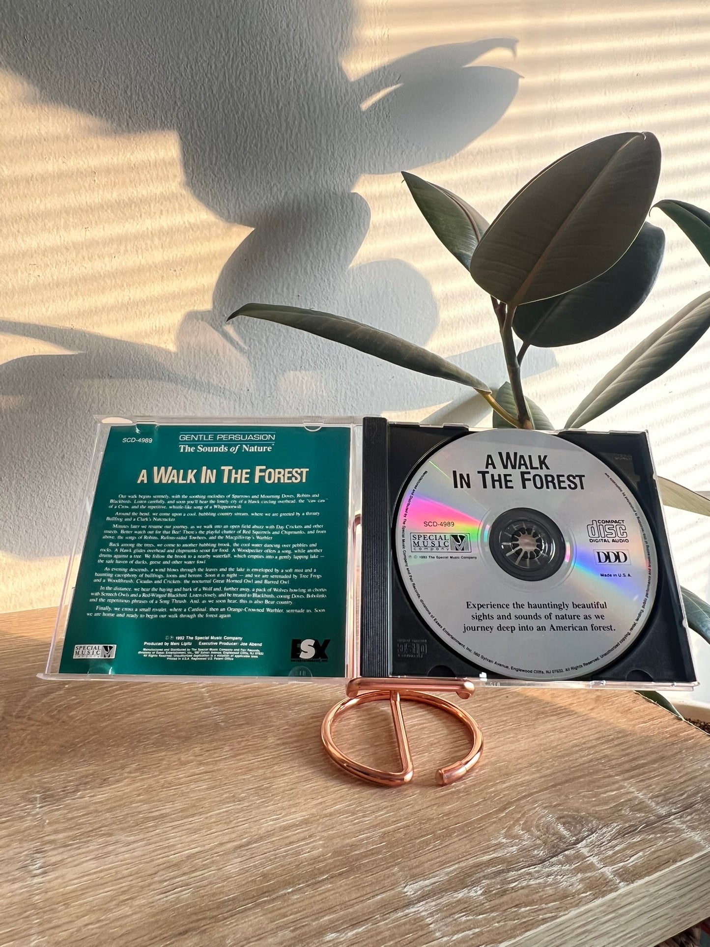 Sounds of Nature: A Walk in the Forest