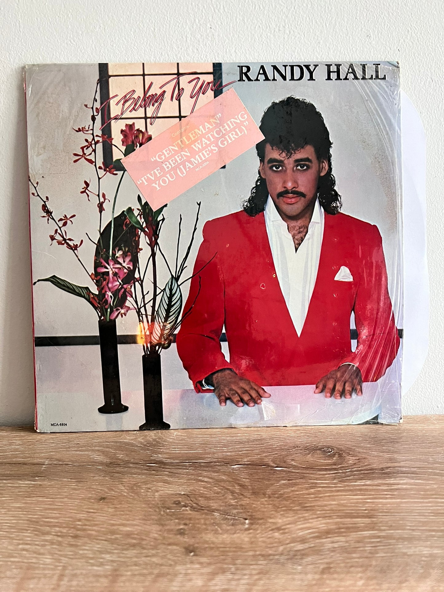 Randy Hall – I Belong To You