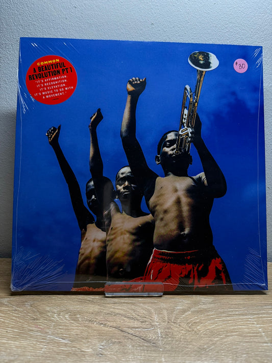 Common – A Beautiful Revolution (Pt 1)