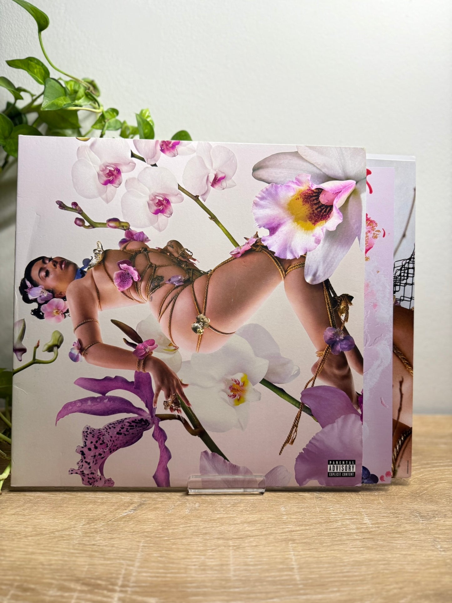 Kali Uchis – Orquídeas