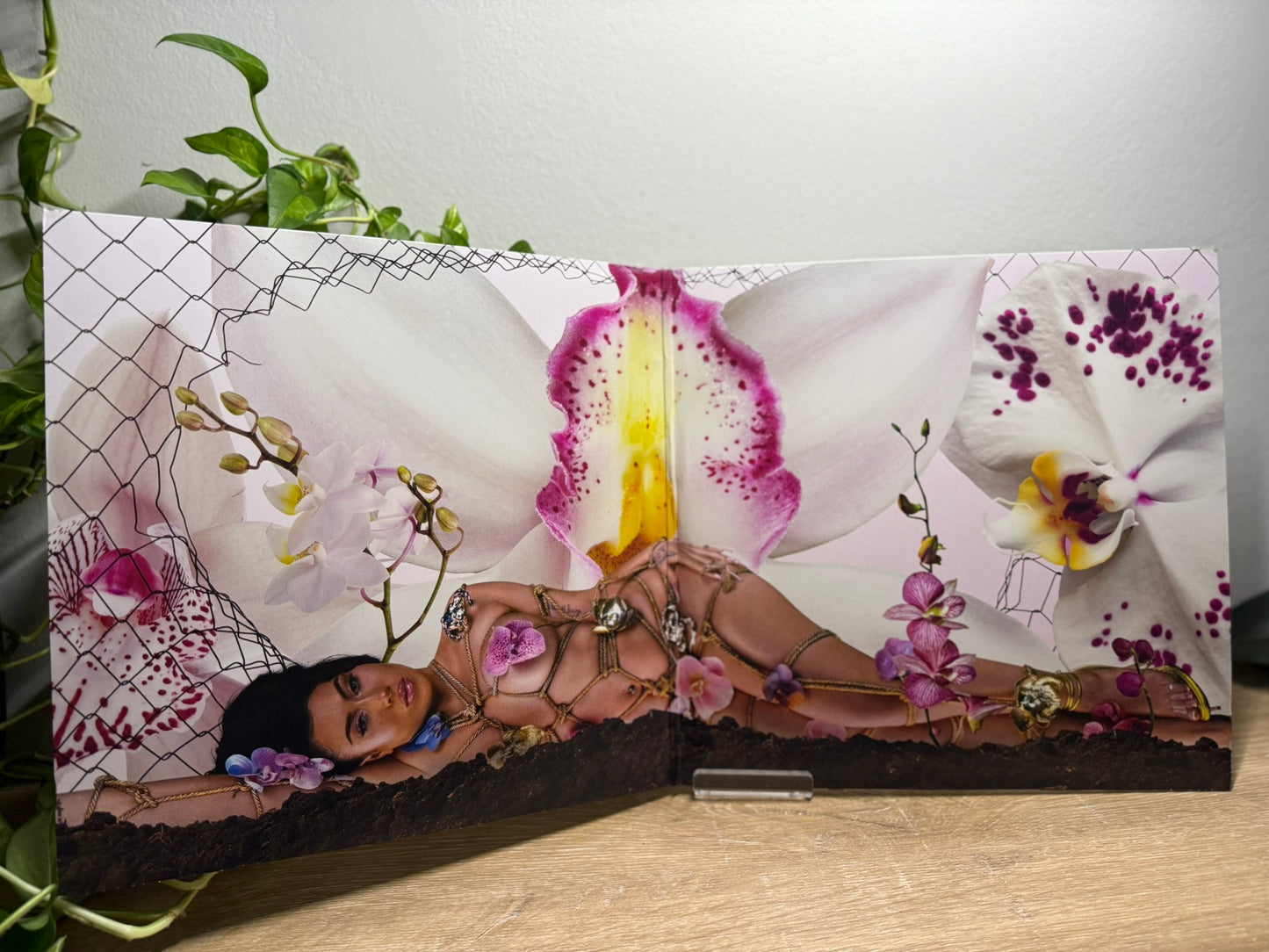 Kali Uchis – Orquídeas